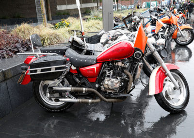 roughleys bike show 2018 bikes