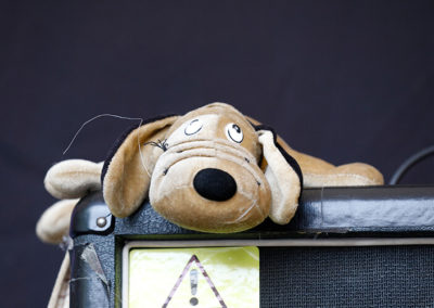 roughleys bike show 2018 people